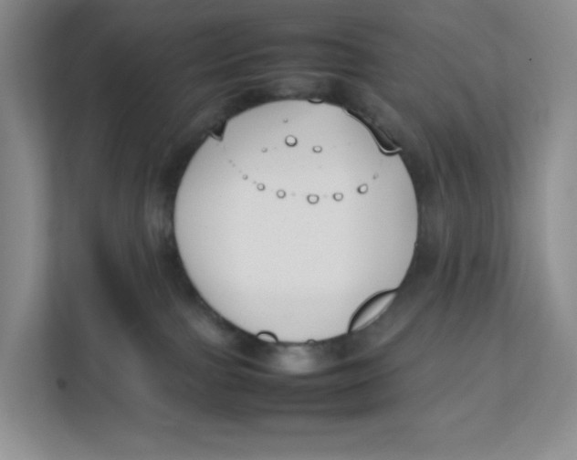 X0000111630091200908071420