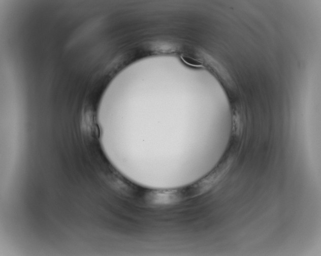 X0000111630093200908071420