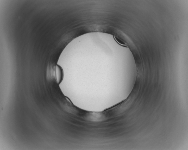 X0000111630095200908071420