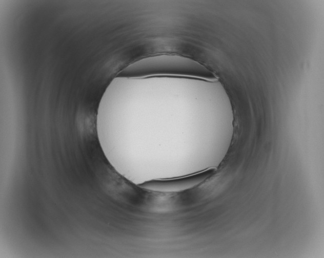 X0000111630096200908071420