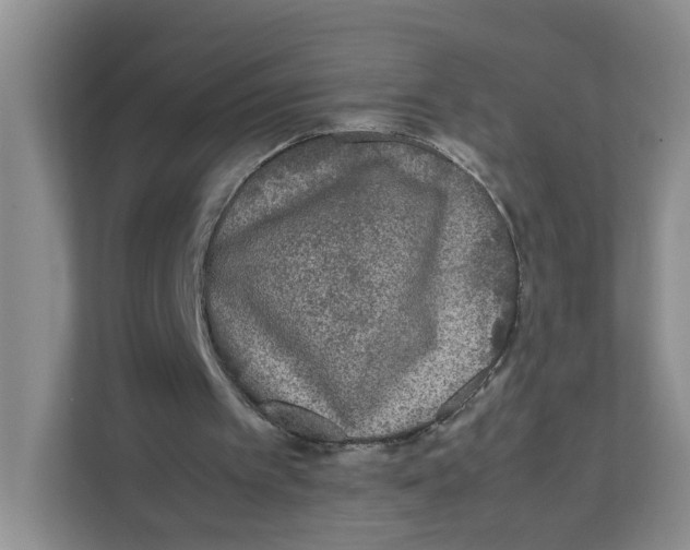 X0000111630097200908071419