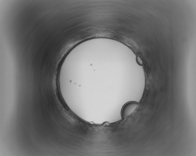 X0000111630098200908071419