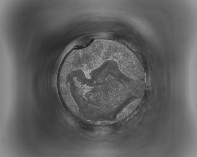 X0000111630099200908071419