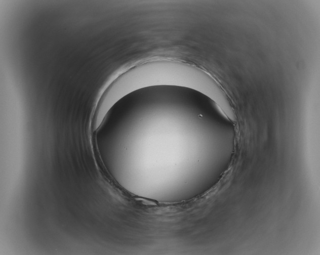 X0000111630100200908071419