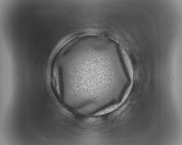 X0000111630101200908071419