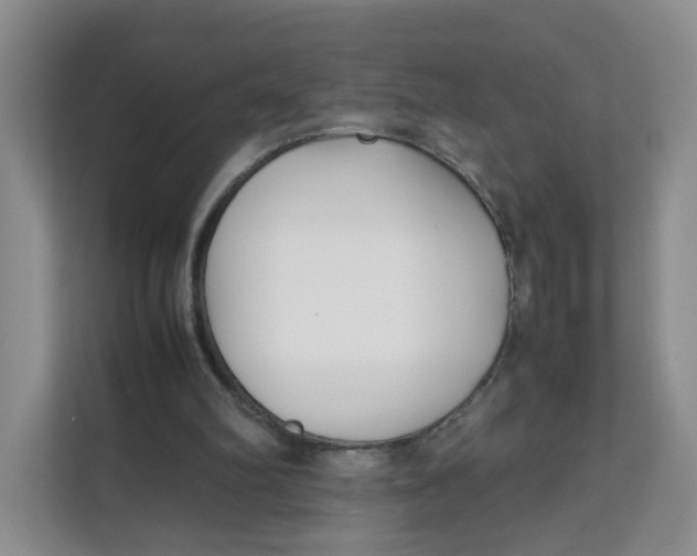 X0000111630102200908071419