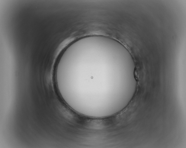 X0000111630104200908071419