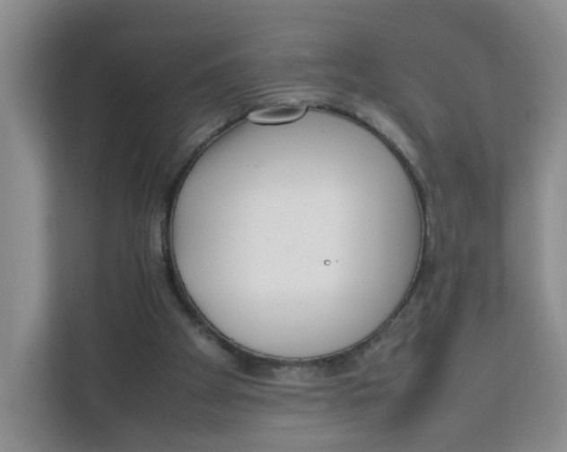 X0000111630105200908071419