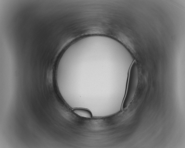 X0000111630108200908071419