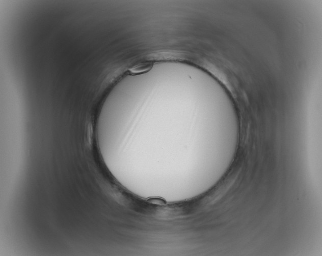 X0000111630109200908071419