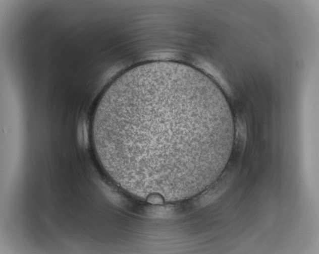 X0000111630110200908071419