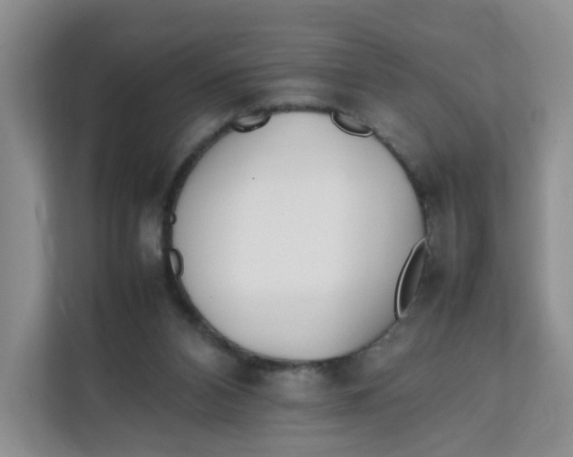 X0000111630112200908071419