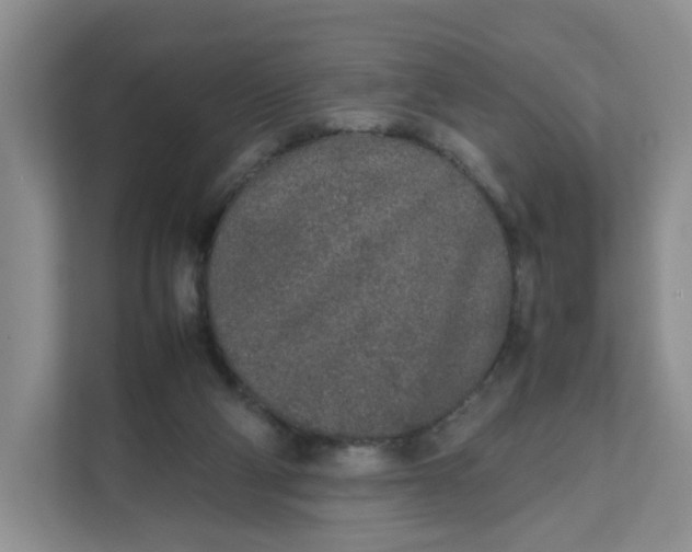 X0000111630114200908071419
