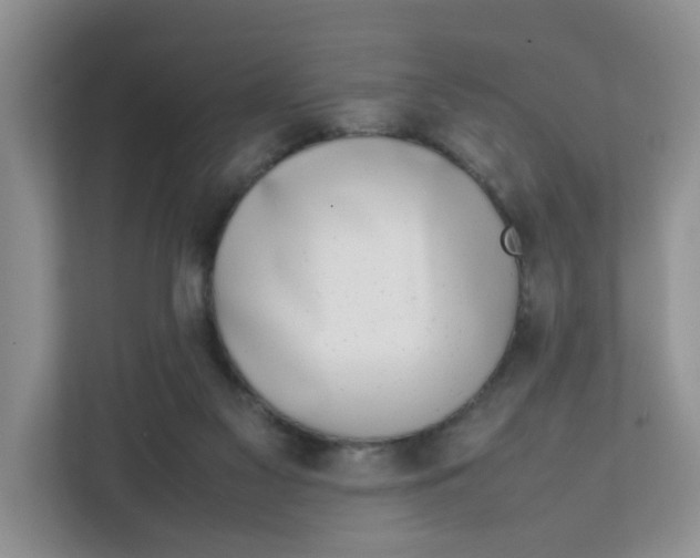 X0000111630117200908071419