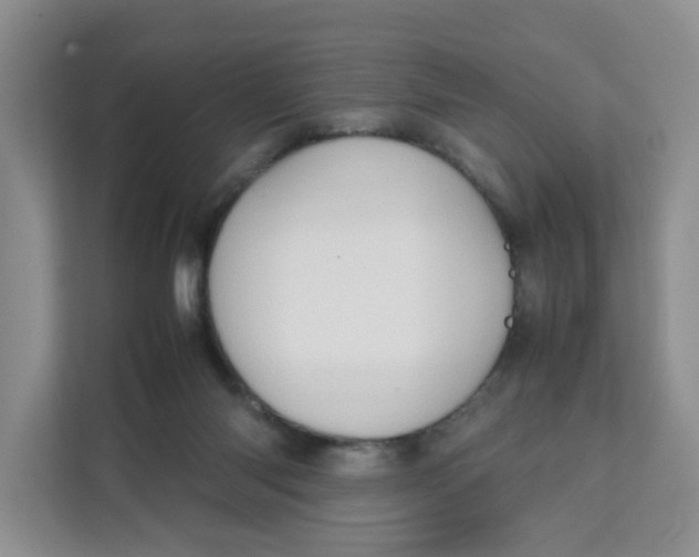 X0000111630118200908071419