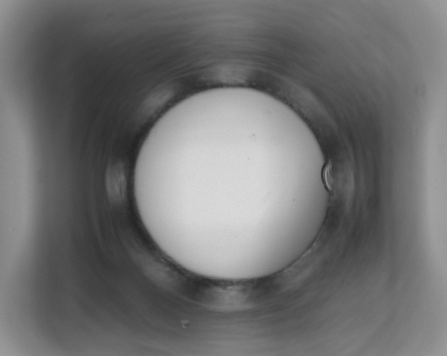 X0000111630120200908071419
