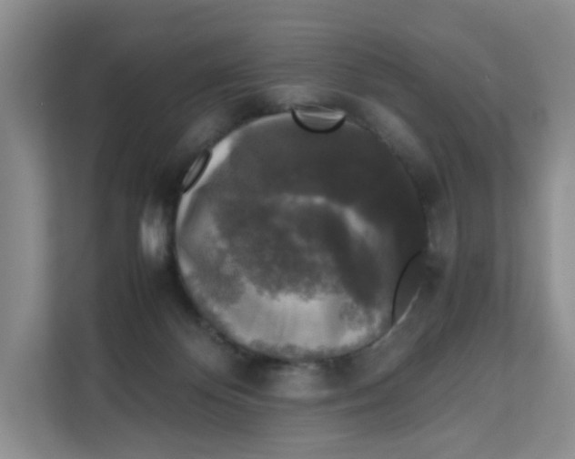 X0000111630124200908071419