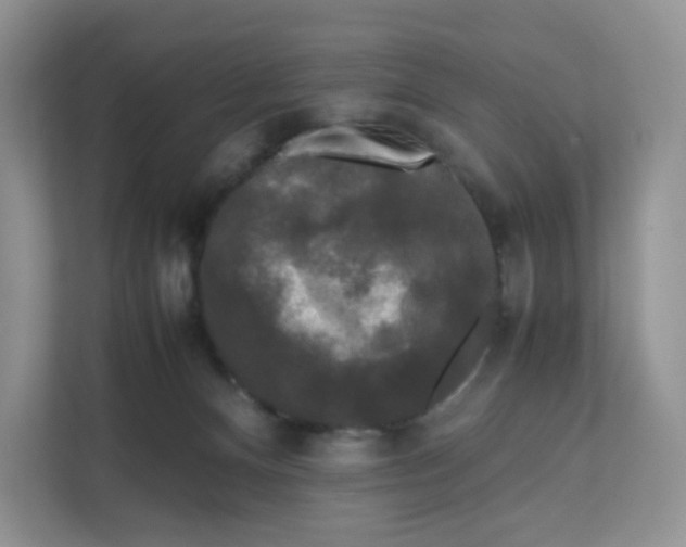 X0000111630128200908071419