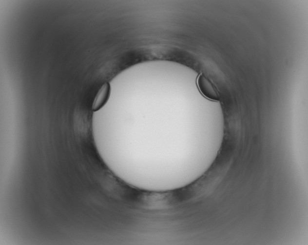 X0000111630129200908071419