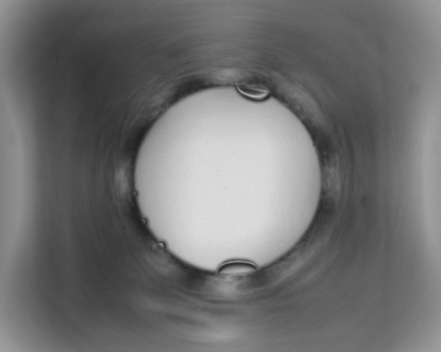 X0000111630131200908071419
