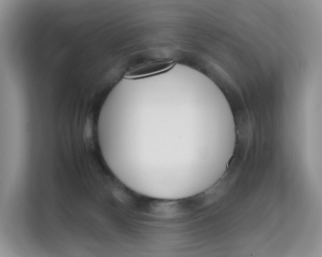 X0000111630132200908071419