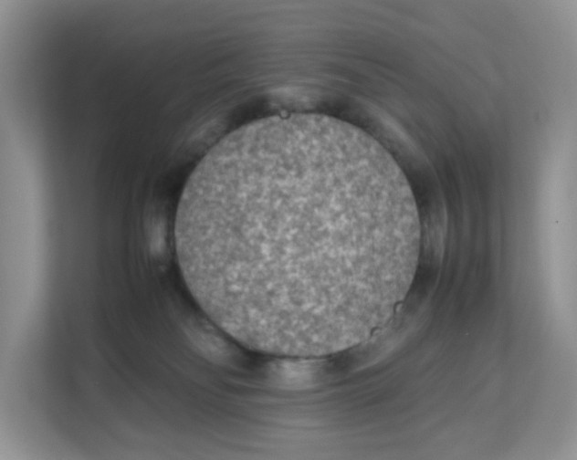 X0000111630134200908071419