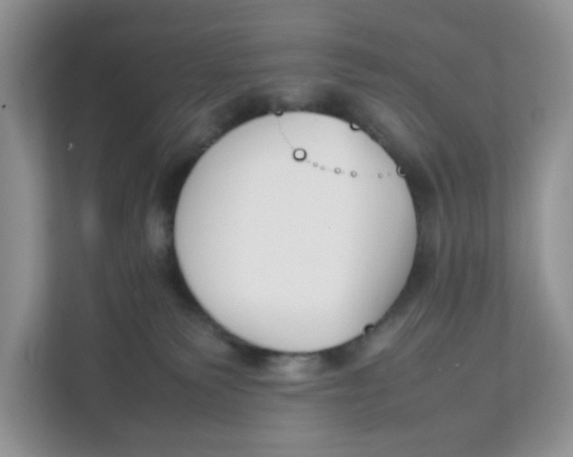 X0000111630135200908071419