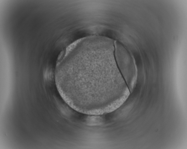 X0000111630137200908071419
