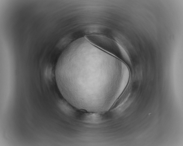 X0000111630140200908071419