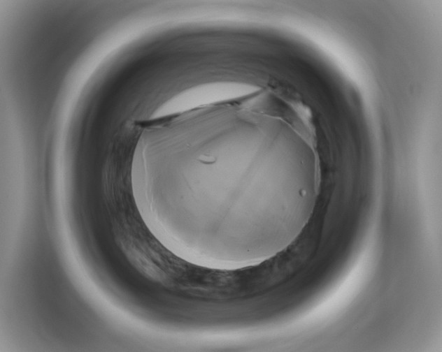 X0000111630143200908071419