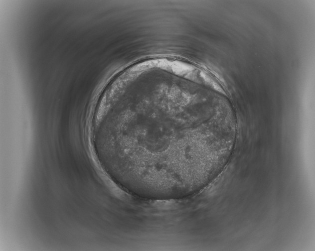 X0000111630145200908071418