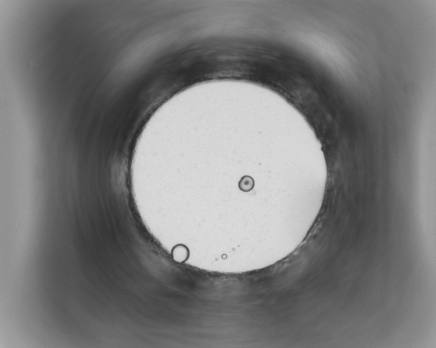 X0000111630146200908071418