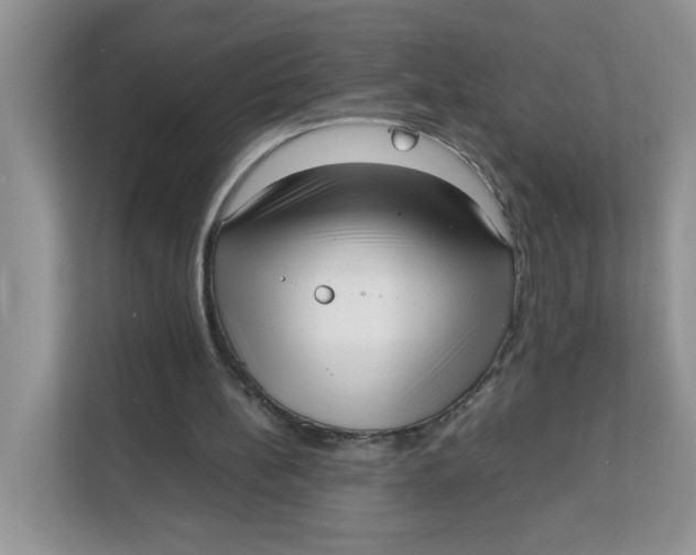 X0000111630148200908071418