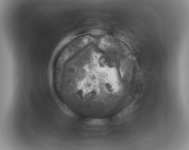 X0000111630149200908071418