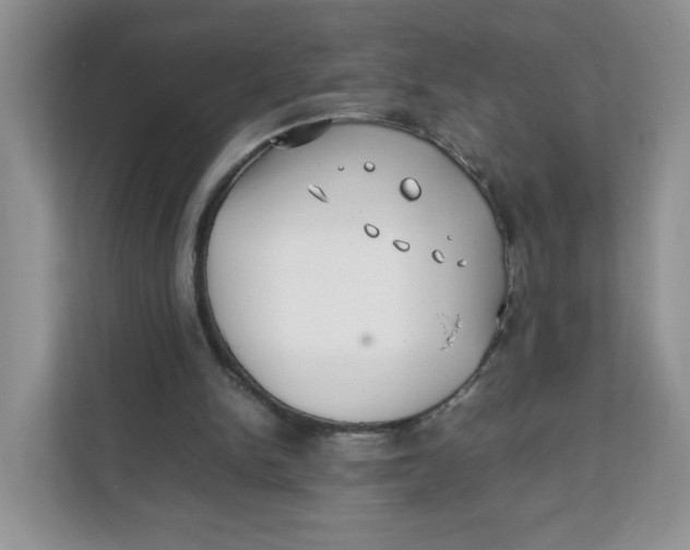 X0000111630150200908071418