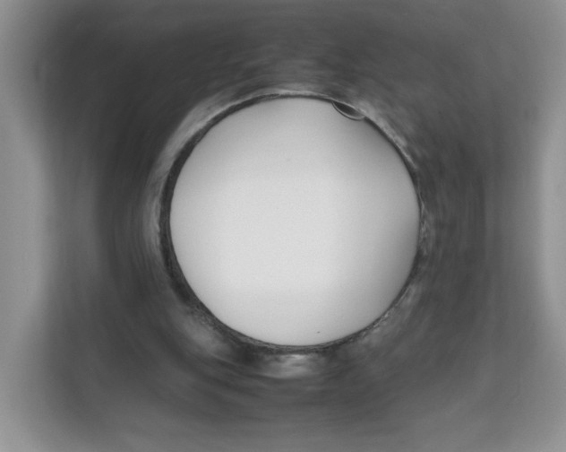 X0000111630151200908071418