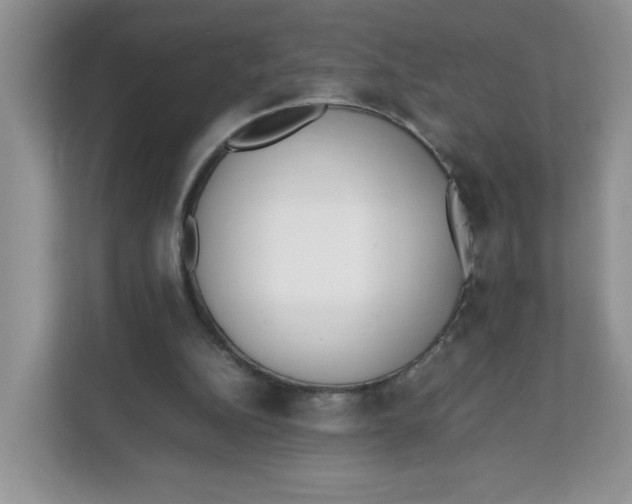 X0000111630152200908071418
