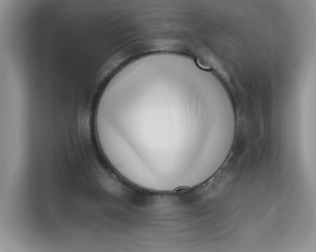 X0000111630154200908071418