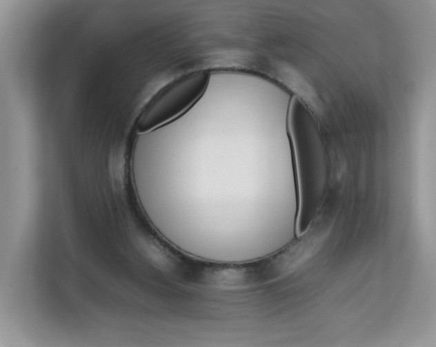X0000111630156200908071418
