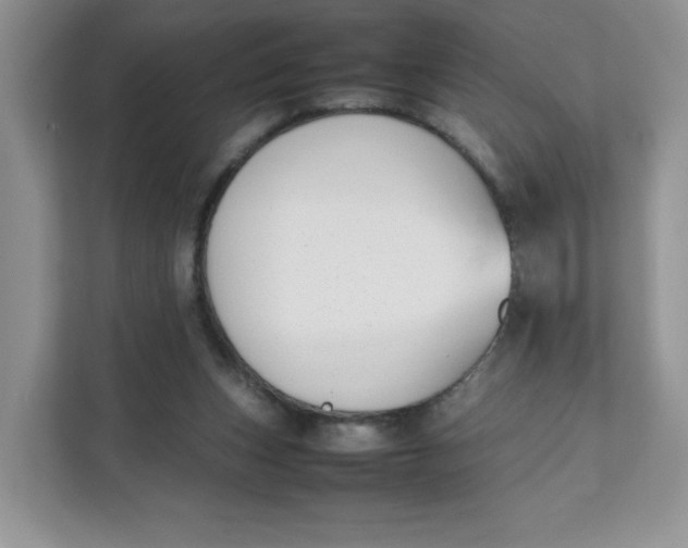 X0000111630159200908071418