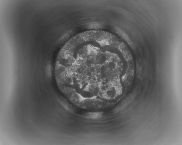 X0000111630161200908071418