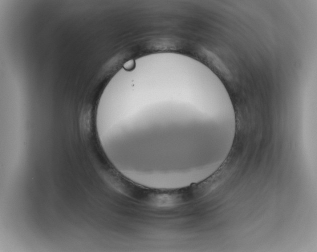 X0000111630163200908071418