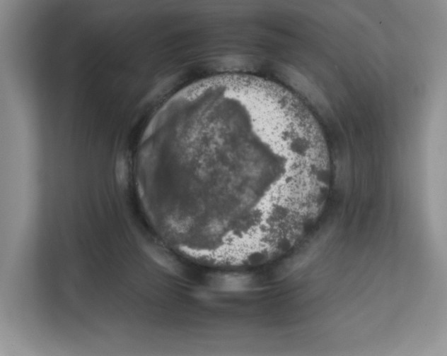 X0000111630165200908071418