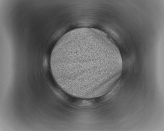 X0000111630166200908071418