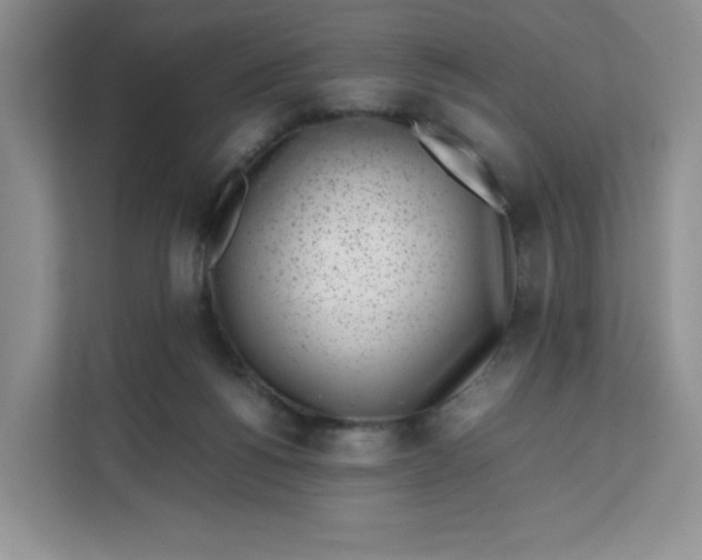 X0000111630168200908071418