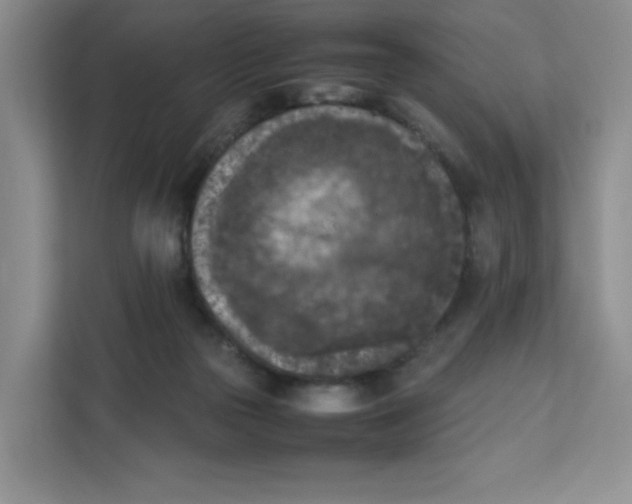 X0000111630169200908071418