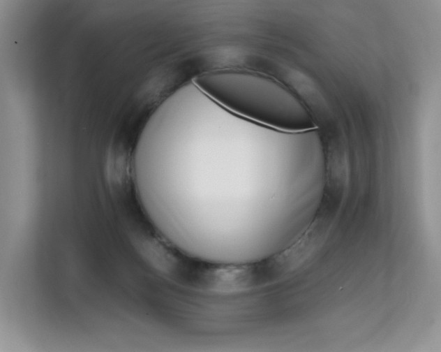 X0000111630172200908071418