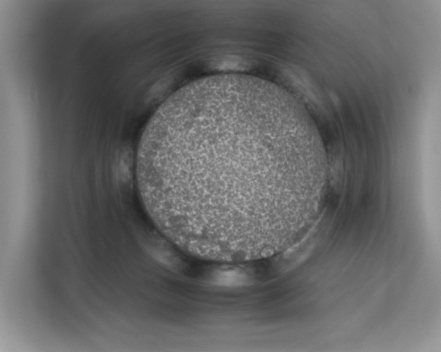 X0000111630175200908071418