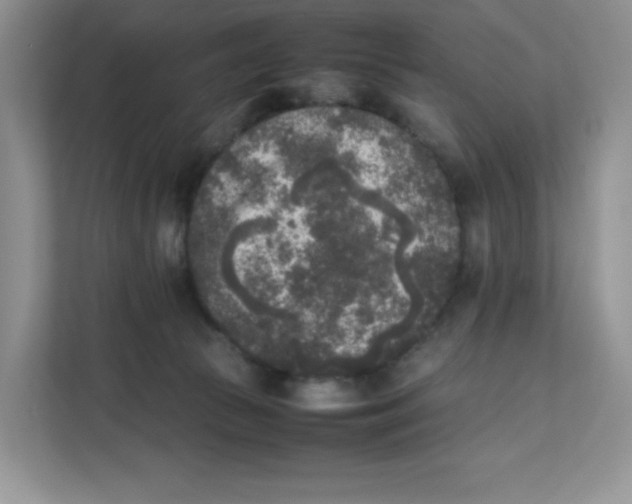 X0000111630177200908071418