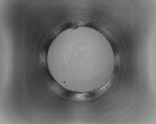 X0000111630178200908071418